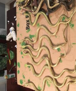Rhode Island Novelty 14 Inch Rain Forest Snakes, Two Dozen Assorted 17 81QnwmnMPZL