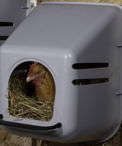 Little Giant® Plastic Chicken Nesting Box | Chicken Nest Box for Laying Hens | Chicken Bed | Egg Laying Chicken Box | Chicken Perch | Nesting Box for Chicken Coops 18 81Qo9FShDGL