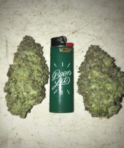 Advanced Nutrients 6201-14AB pH Perfect Sensi Grow Part A+B, 1 Liter, Brown/A 10 81QpCwcPHFL