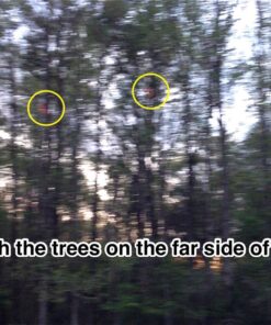 Aerobie 30C12 Orbiter Boomerang 35 81QsJNgbJPL