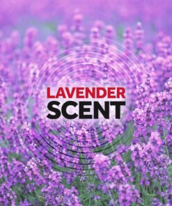 Raid Ant & Roach Killer Spray For Listed Bugs, Keeps Killing for Weeks, Lavender Scent 12 Ounce (Pack of 1) 12 Ounce (Pack of 1) 16 81QwULOS4xL