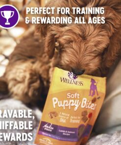 Wellness Soft Puppy Bites Natural Grain-Free Treats for Training, Dog Treats with Real Meat and DHA, No Artificial Flavors (Lamb & Salmon, 3-Ounce Bag) Soft Treats Lamb & Salmon 3 oz 25 81QwwM4DxyL