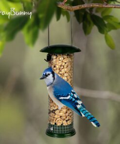 Premium Steel Sunflower Seed and Peanut Feeder, 9.5" Tall, Wild Bird Feeder for Woodpeckers, Titmice, Nuthatches, Chickadees, Jays and More, Gifts for Mom, for Women, Gifts for Dad 9.5 inch 20 81Qx0BH6bIL