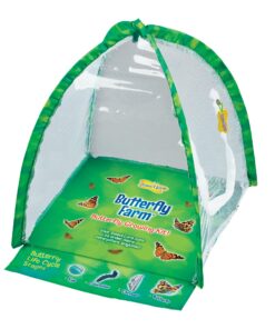Alternative view of Butterfly Garden: Farm Habitat and Live Cup of Caterpillars – Life Science & STEM Education Butterfly Farm