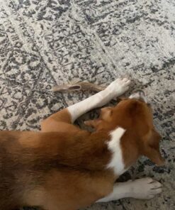 PURINA Busy Made in USA Facilities Small/Medium Dog Bones, Original - 6 ct. Pouch 27 81R0TB787BL