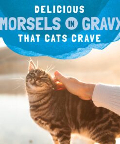 Natural Balance Original Ultra Platefulls Indoor Adult Grain Free Wet Cat Food, Mackerel & Sardine Recipe, 3 Ounce Pouch (Pack of 24) 16 81R10b2P4gL