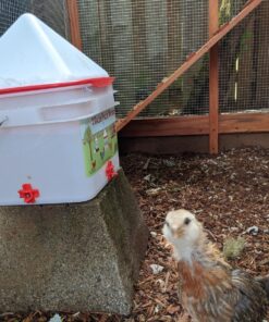 RentACoop 2 Gallon Chicken BPA-Free Plastic Bucket Waterer Set with 4 Horizontal Nipples - Center Placement 25 81R3KqgBagL