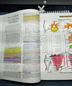 Anatomy Coloring Workbook, 4th Edition: An Easier and Better Way to Learn Anatomy Paperback, Coloring Book 20 81R6JDMaiZL