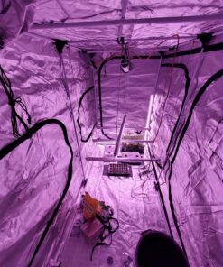 Zazzy Grow Tent, 96“X48 X78 Plant Growing Tents 600D Mylar Hydroponic Indoor Grow Tent with Window, Kit Bag & Floor Tray 96"X48"X78" 37 81R72eBub9L