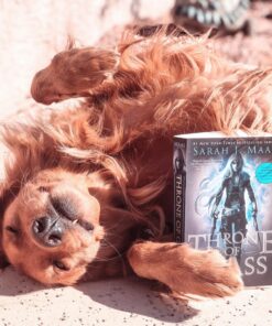 Throne of Glass 16 81R8ztQl8JL