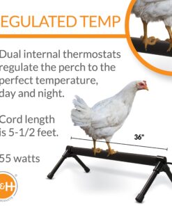 K&H Pet Products Thermo-Chicken Heated Perch Gray 36" 55W 10 81R9XspqKS