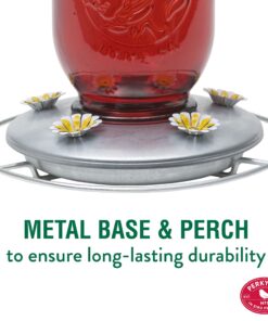Perky-Pet 786-1SR Mason Jar Vintage Glass Hummingbird Feeder - Outdoor Garden Décor - 32-oz Red Mason Jar 26 81RBnPvNe4L