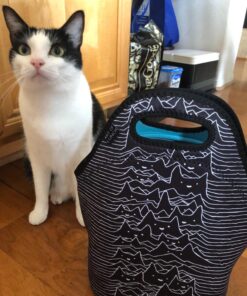 Artovida Artists Collective Insulated Neoprene Lunch Bag - Washable Soft Lunch Tote for Work and Picnic - Design by Tobe Fonseca (Brazil) Furr Division - Classic Tobe Fonseca Furr Div. Cats 21 81RCcsEIvL