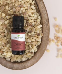 Plant Therapy Frankincense Serrata Essential Oil 100% Pure, Undiluted, Natural Aromatherapy, Therapeutic Grade 30 mL (1 oz) 1.01 Fl Oz (Pack of 1) 8 81RF0EAQyOL 1