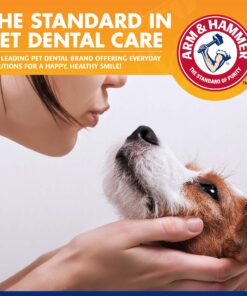 Arm & Hammer for Pets Tartar Control Enzymatic Toothpaste for Dogs | Reduces Plaque & Tartar Buildup | Safe for Puppies | Beef Flavor, 2.5 Ounces Dog Toothpaste Tartar Control - Beef 2.5 Ounce (Pack of 1) 26 81RGppD4mL
