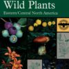 Edible Wild Plants: Eastern/Central North America (Peterson Field Guides) Paperback 6 81RNDAndeL