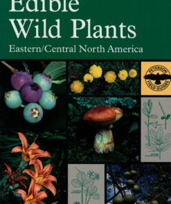 Edible Wild Plants: Eastern/Central North America (Peterson Field Guides) Paperback