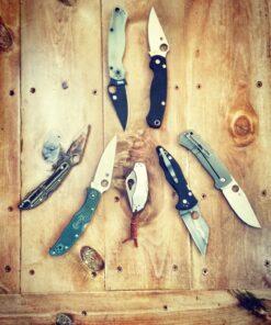 Spyderco Byrd Robin 2 Knife with 2.40" Steel Blade and Durable Stainless Steel Handle - PlainEdge - BY10P2 27 81RNV182 HL