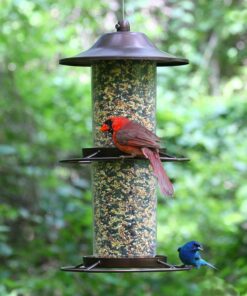 Perky-Pet 325S Panorama Bird Feeder 25 81RNp2jLE0L