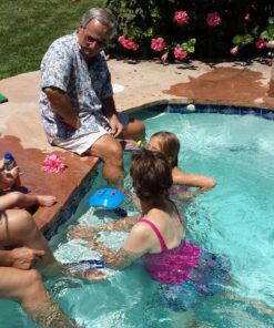 Aqua Mix Sealer's Choice Gold Quart, 32 Ounce 25 81RO2qy3qWL