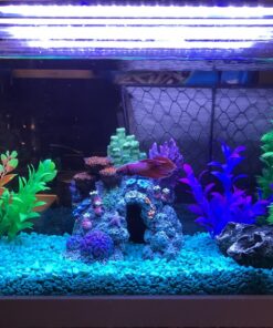 Pure Water Pebbles Aquarium Gravel, 5-Pound, Turquoise 17 81RQMVfDgrL