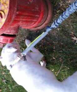 Tuff Mutt Hands Free Dog Leash For Running That Makes A Great Waist Leash for Dog Walking, Double Handle Bungee Leash with Reflective Stitching and Adjustable Dog Walking Belt green/gray 45 81RSnjX5yDL