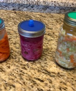 Masontops Pickle Pipes - Airlock Fermentation Lids - Fermentation Kit for Small Mouth Mason Jar Sauerkraut & Pickle Kit - Fermentation Jar Not Included Small Mouth 4PK 19 81RUjJjwvJL
