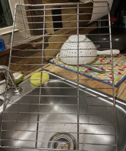 Carbona 2-in-1 Oven Rack and Grill Cleaner Bagged 16.8 Oz 41 81RaFScZsaL