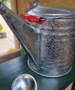 Behrens 2-1/2-Gallon 210 Steel Watering Can, Silver 18 81RaR6gMBjL