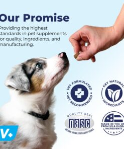 Glandex Anal Gland Soft Chew Treats with Pumpkin for Dogs Digestive Enzymes, Probiotics Fiber Supplement for Dogs Boot The Scoot (Peanut Butter Chews, 30ct) Peanut Butter Chews 26 81RaV1KavyL