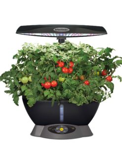 AeroGarden Classic 6 with Gourmet Herb Seed Pod Kit 35 81RbHhxv4NL