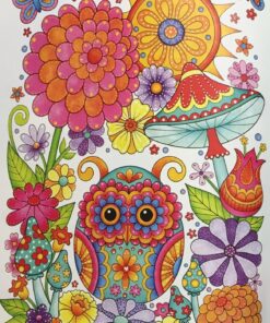 Groovy Owls Coloring Book (Coloring is Fun) (Design Originals) 32 Adorable Art Activities with Quiet, Stoic, Wise, and Happy Owls, plus Beginner-Friendly Advice, Techniques, Color Choices, & Examples Paperback, Coloring Book 45 81Rc995fAL