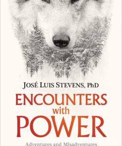 Encounters with Power: Adventures and Misadventures on the Shamanic Path of Healing Paperback