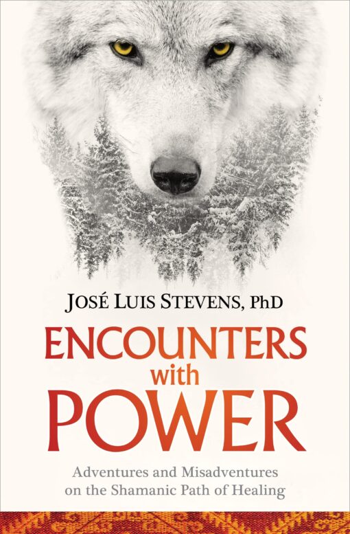 Encounters with Power: Adventures and Misadventures on the Shamanic Path of Healing Paperback