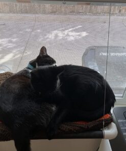 Kitty Cot Original World's Best Cat Perch (Large) Black Color Kitty Cot Large 58 81ReWRB0NBL