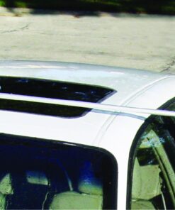 Detailer's Choice 4B369 Flow-Thru Vehicle Wash Brush with 60-Inch Telescoping Handle - 1-Each 11 81RgHfeI4mL