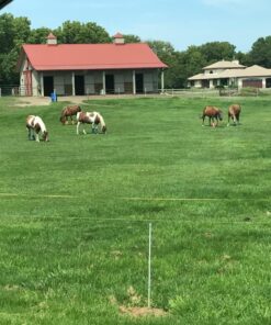 Absorbine ShowSheen Hair Polish & Detangler 32oz Refill Bottle, Horse and Dog Coat, Mane and Tail, Instant Detangling & Reduces Hair Breakage for Healthy Grooming & Radiant Shine 17 81RhANwpteL 1