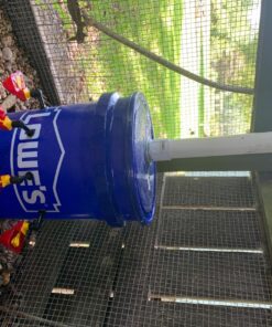 Backyard Barnyard Vertical 4 Pack NO PECK Poultry Waterer Drinking Cup for Chicken Ducks Quail 21 81RhHCliakL