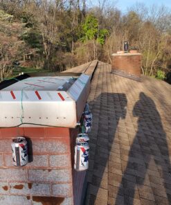 Dalen Fake Owl Decoy to Scare Birds Away from Gardens, Rooftops, and Patios - Scarecrow Provides Chemical-Free Pest Control - Safe and Humane, 18" 360º Rotating Head 37 81RjYR5dgdL