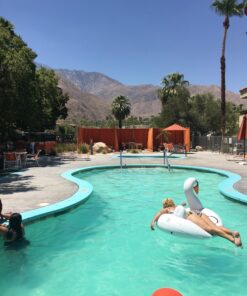 GoFloats Swan Party Tube Inflatable Raft, Float in Style (for Adults and Kids) Large 34 81RkqWwwRJL