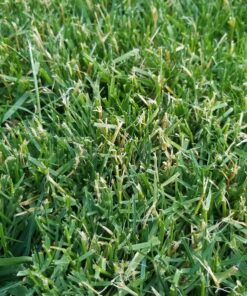 MaxPower 561713B 2-Blade Set for 42" Cut Poulan/Husqvarna/Craftsman Replaces 138498, 138971, 138971X431, 532138971, 53-21278-43, 53-21384-98, Black 22 81RmyMKfgJL