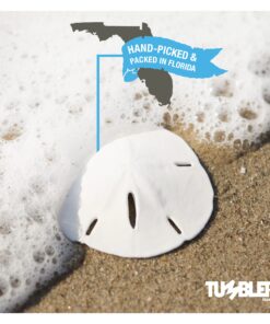 Tumbler Home White Sand Dollars 3"-3.5" - 10pcs - Wedding Seashell Craft Sandollars- Hand Picked and Professionally Packed 29 81RnOPY FwL