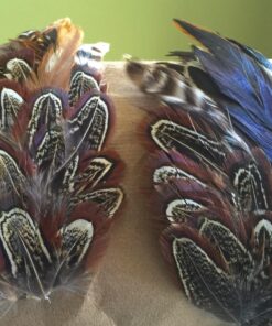 LolliBeads (TM) 50 Pcs Natural Ringneck Pheasant feather 2-3 inches 22 81RyTghpwYL