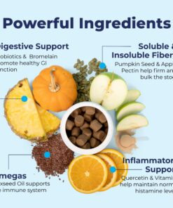 Glandex Anal Gland Soft Chew Treats with Pumpkin for Dogs Digestive Enzymes, Probiotics Fiber Supplement for Dogs Boot The Scoot (Peanut Butter Chews, 30ct) Peanut Butter Chews 23 81S jDR 9gL