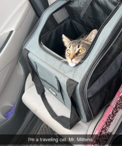Pettom Dog Car Seat Pet Car Booster Seat Carrier Airline Approved for Dog Cat Puppy Small Animal Travel Cage (Gray-1, Small-Hold Pet up to 13lb) Gray-1 23 81S2EQi42cL