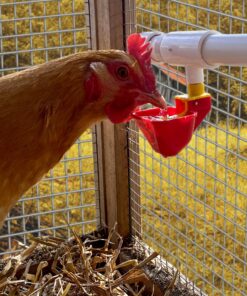 4 Pack NO PECK Poultry Waterer Drinking Cup with 1/2" PVC Tee Poultry Watering System for Chicken Ducks Quail 16 81S5RQUQUOL