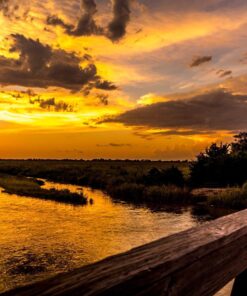 Stunning Digital Photography 24 81S5fskpIPL