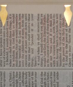 Book Darts 125 Count Tin Brass Bookmarks - Line Book Markers 48 81S9fiizBL