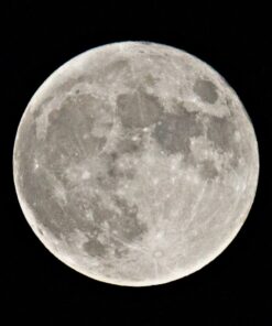 RFN-4s Wireless Remote Shutter Release for Nikon DSLR with MC30 Type Connection (Nikon D200, D300, D300s, D500, D700, D800, D800E, D810, D1, D2, D3, D3x, D3s, D4, D5) - Transmitter and Receiver Set 34 81SFXh2h2xL