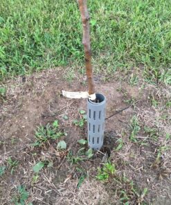 EasyFlex 1131-6C Tree Trunk Protector, 6 Count (Pack of 1), Gray 6 Count (Pack of 1) 33 81SFhTokwOL